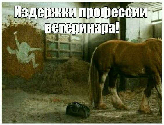 Юмористические картинки специально для вас Юмористические картинки специально для вас