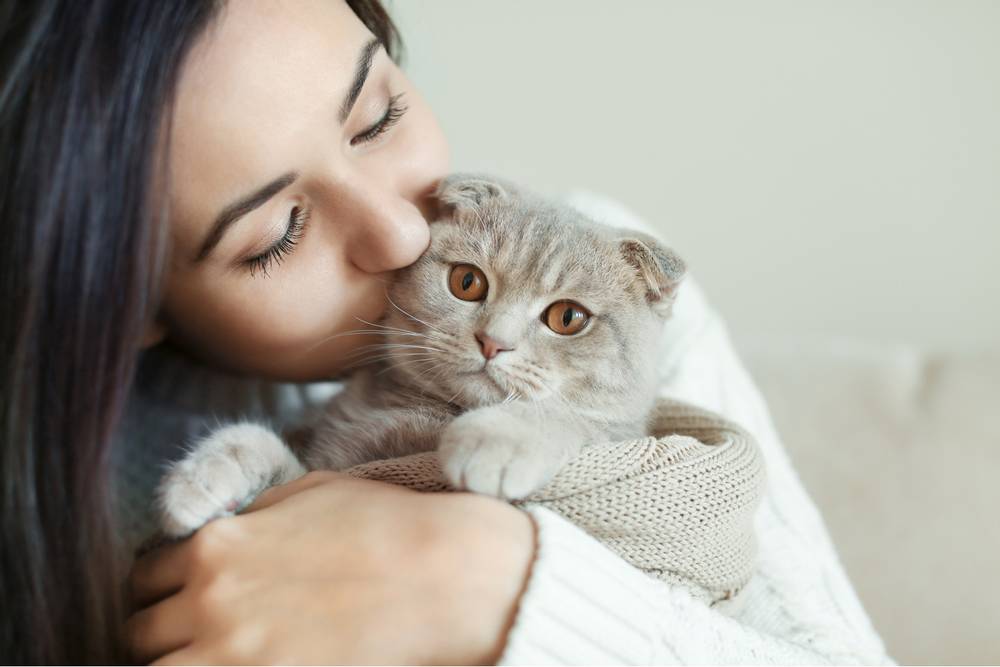 Bigpicture.ru Фелинотерапия - почему люди лечатся кошками и как это происходит