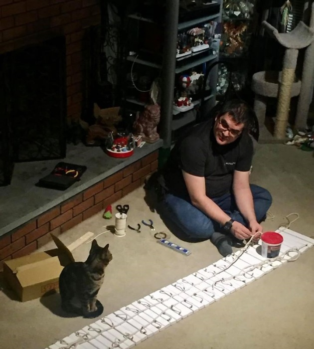 Американец построил в собственном доме целый город для кошек