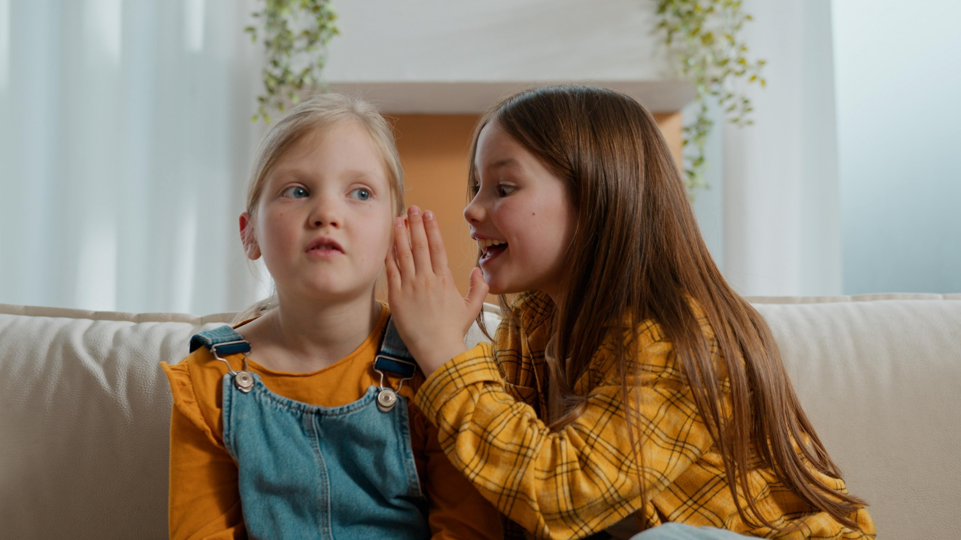 Кто такие сводные братья и сестры: объясняем простыми словами предыдущего, фамилию, приходится, брака, сестры, другу, обоих, имеют, браке, мужчины, братья, ребенок, нужно, согласие, родителей, лишен, родился, усыновленный, права, семье