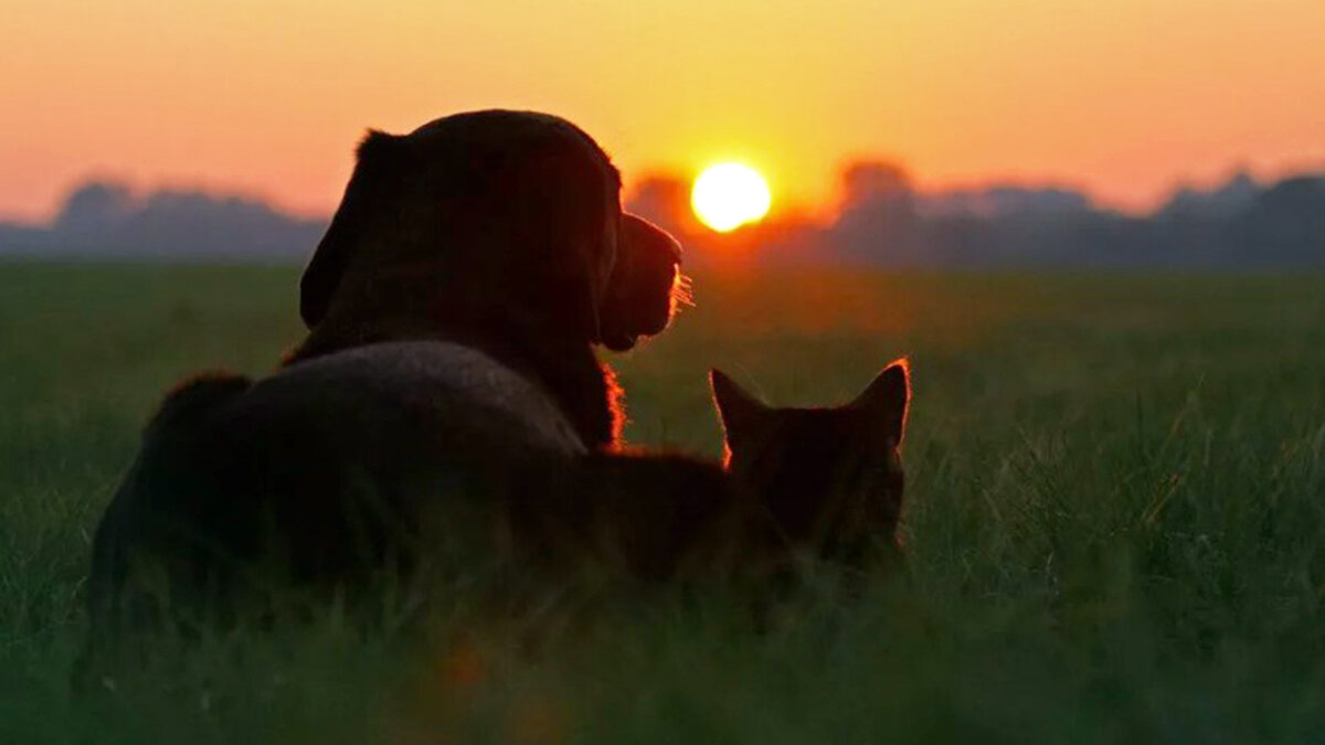 Всего один шаг