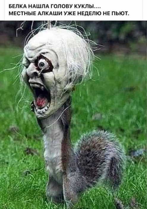 Всё для поднятия настроения! Всё для поднятия настроения!