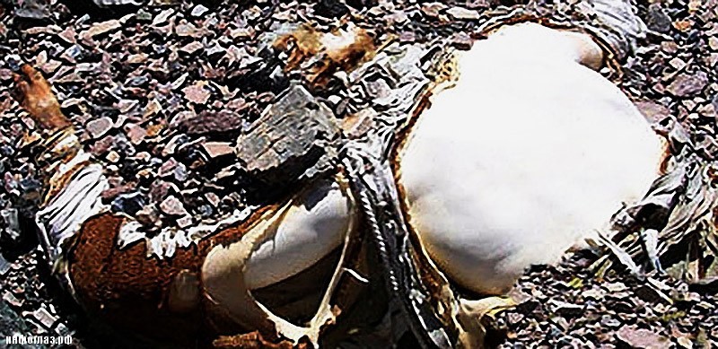 Кладбище на Эвересте Кладбище на Эвересте поездка,туризм