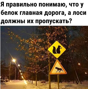 Современные парадоксы: когда реальность смешнее анекдота