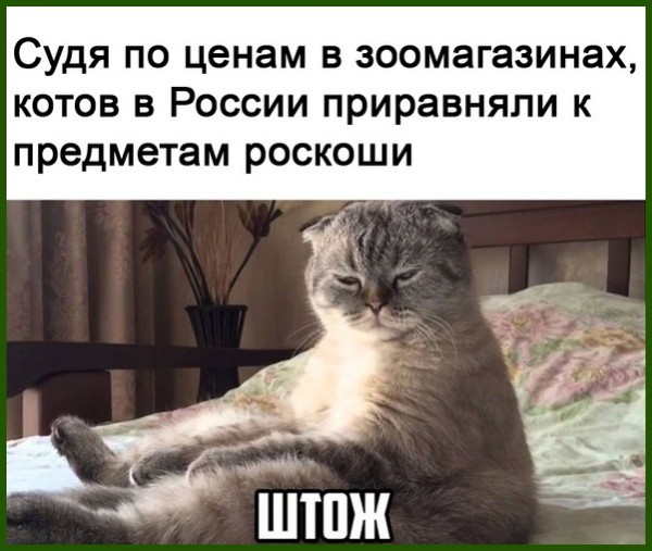 Юмор из интернета 717 позитив,смех,улыбки,юмор