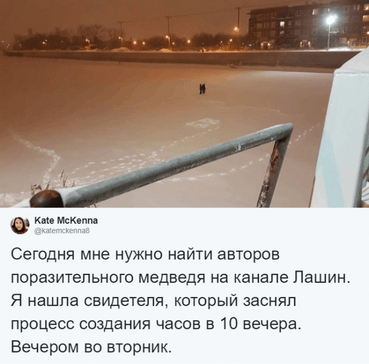 Канадка нашла нарисованного на снегу медведя, и теперь все пытаются понять: как ему сделали пупок? Канадка нашла нарисованного на снегу медведя, и теперь все пытаются понять: как ему сделали пупок?