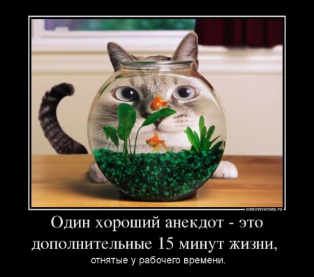 Зачетные и смешные демотиваторы из нашей жизни со смыслом веселые демотиваторы ржака