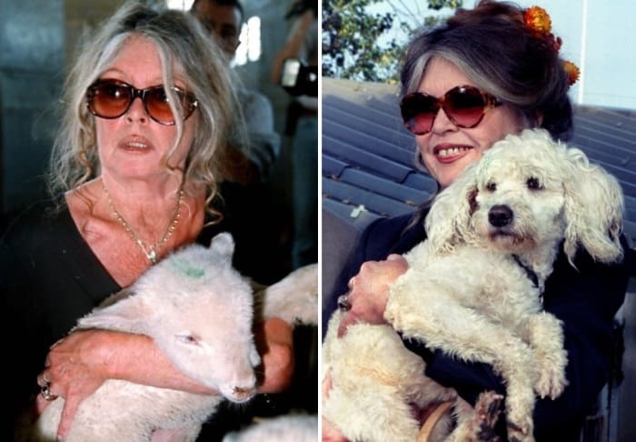 Брижит Бардо – 85: Две жизни одной из самых красивых и непредсказуемых актрис Брижит Бардо – 85: Две жизни одной из самых красивых и непредсказуемых актрис актрисы,Брижит Бардо,знаменитости,мода и красота,стиль жизни