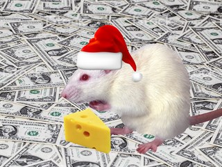 Финансовое будущее планеты в год Крысы