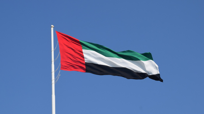Глава МИД ОАЭ заявил о поддержке процесса урегулирования в Ливии