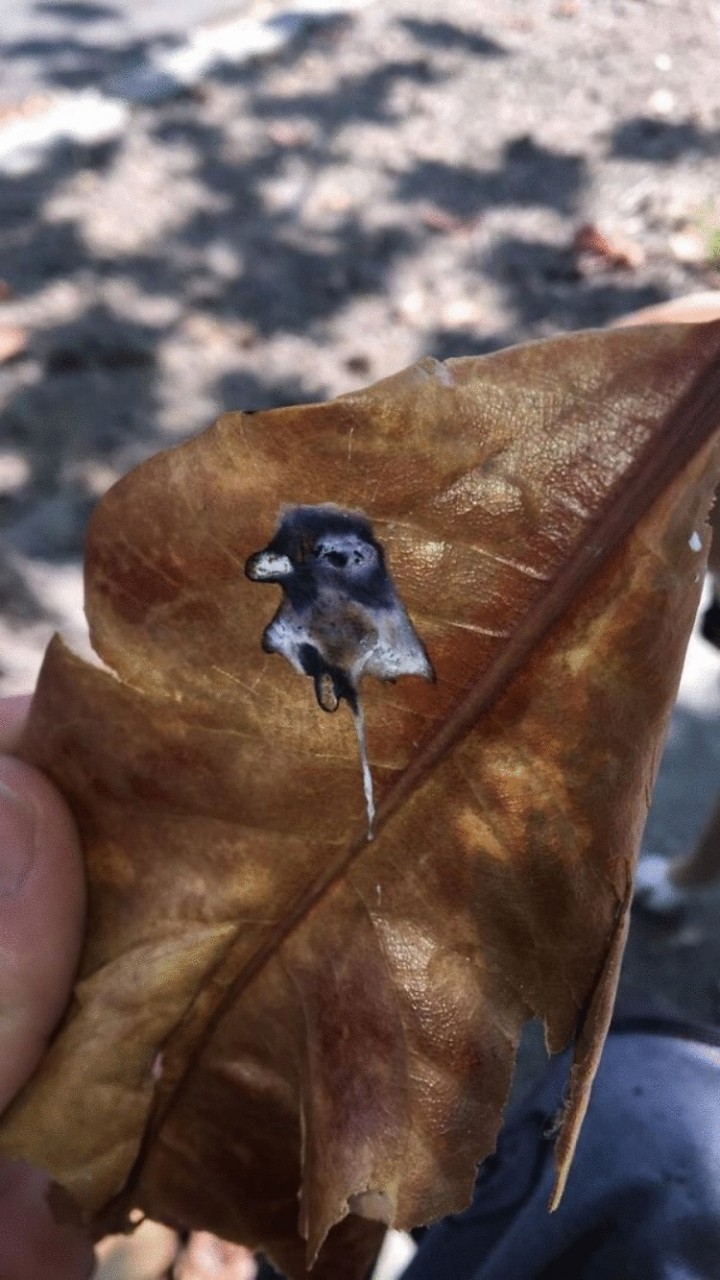 20 внезапных совпадений и подарков судьбы, которым, казалось бы, нет места в реальном мире 20 внезапных совпадений и подарков судьбы, которым, казалось бы, нет места в реальном мире