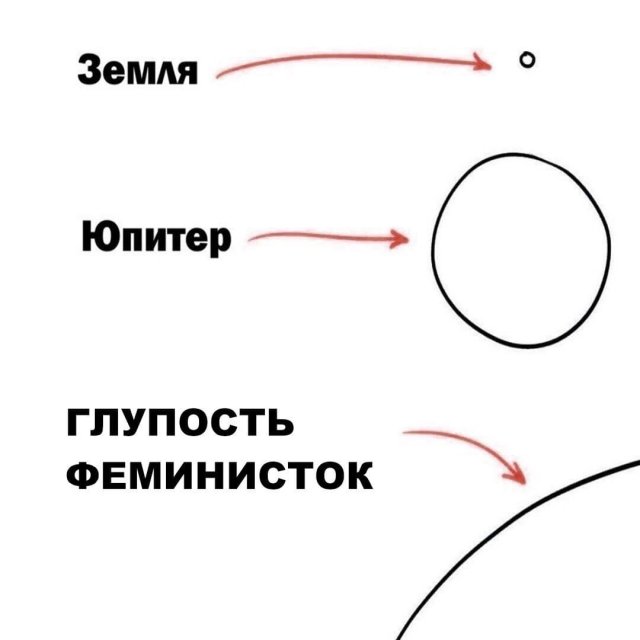 Приколы и мемы про феминисток и феминизм (15 фото)