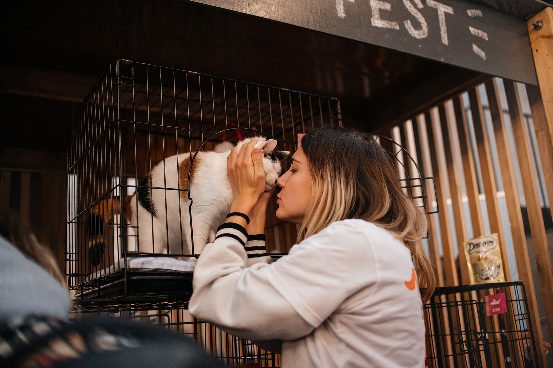 На фестивале WOOF