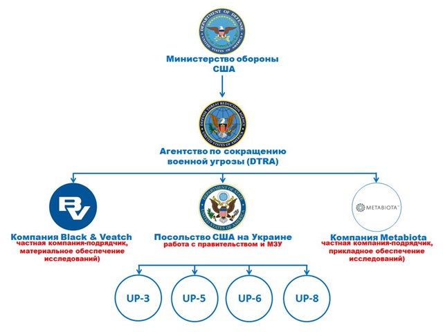 Пентагон во время чумы территории, Украины, американских, Украине, исследований, рамках, опасных, оружия, биолабораторий, проектов, также, биоматериала, инфекций, проекта, особо, биологического, является, деятельность, Министерства, исследования