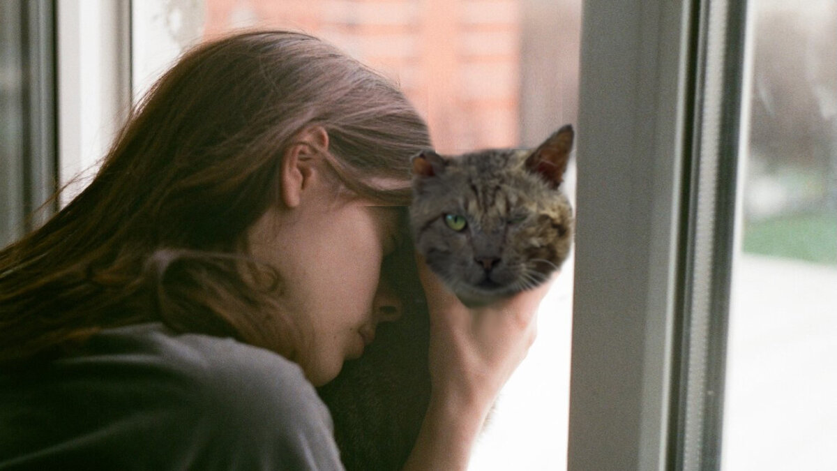 Тогда я уйду вместе с ним! 