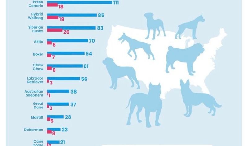 Рейтинг собак 2023. Опасные породы собак список. Перечень потенциально опасных пород собак. Самые опасные породы собак. Список самых опасных собак.