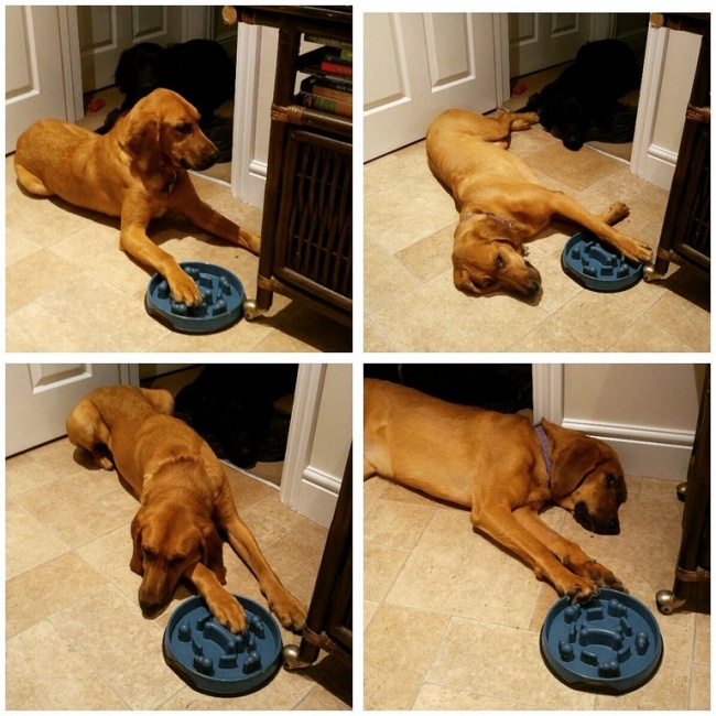 30 фото, после просмотра которых так и хочется воскликнуть: «Да что вы знаете о безысходности!» 