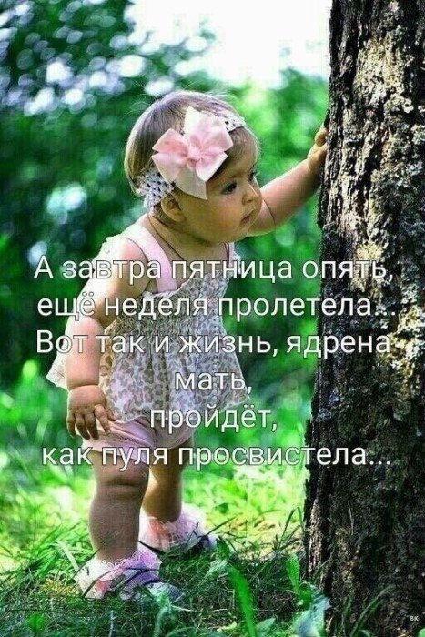 Деграклассники Деграклассники
