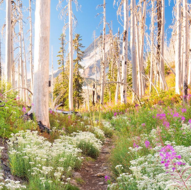 Ещё 11 классных мест нашей планеты, которые обязательно нужно посетить хотя бы раз в жизни достопримечательности,невероятные места,планета