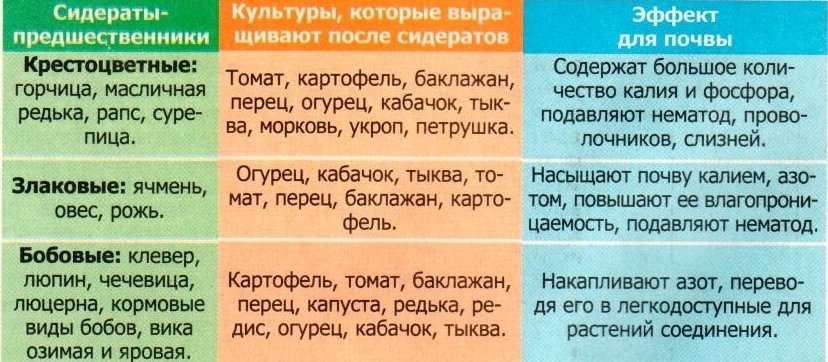 сидераты какие лучше