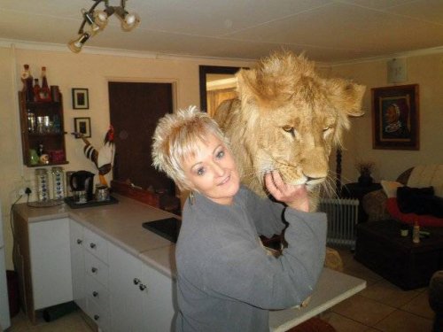 Не все в качестве домашних питомцев держат кошек и собак 