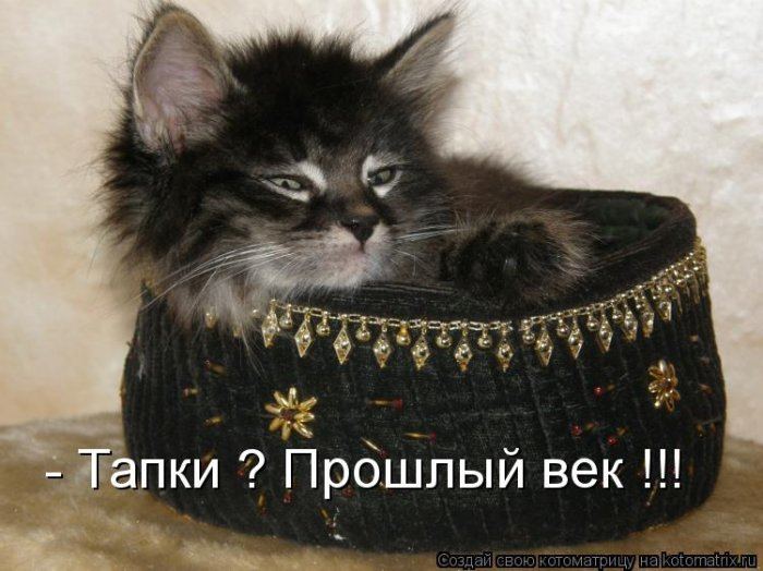 Мысли вслух :)
