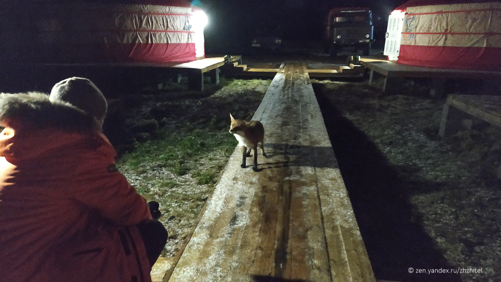 Уютные юрты прохладного Севера 