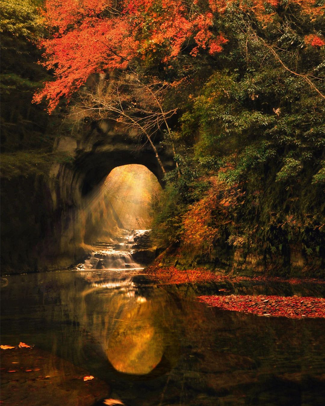 Волшебная японская природа на снимках Макико Самедзимы времена года,тревел-фото,Япония