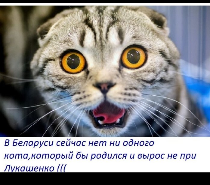 В парке на лавочке сидят двое влюбленных.  Вдруг он замечает... соседка, какойто, ничего, мужчина, девушке, подает, загадочные, замечает, влюбленныхВдруг, грипп, сидят, лавочке, парке, версияВ, знаки, кошерная, строго, будет, пишет, свиной