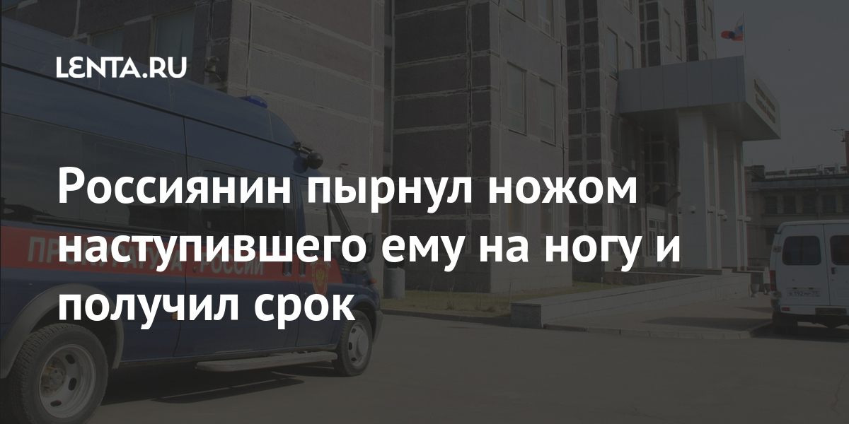 Россиянин пырнул ножом наступившего ему на ногу и получил срок Россия
