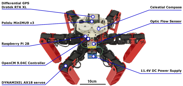 AntBot – робот, получивший навигационную систему муравьев AntBot – робот, получивший навигационную систему муравьев AntBot