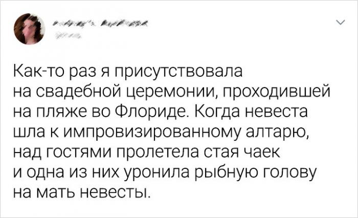 Свадьбы, где все идет не по утвержденному плану или в жизни бывает все Свадьбы, где все идет не по утвержденному плану или в жизни бывает все картинки с надписями,красивые фотографии,фото приколы,шикарные фотографии,юмор