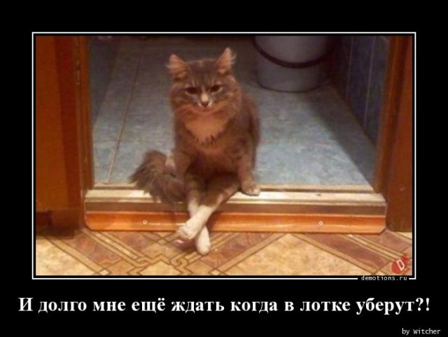 Демотиваторов свежая порция: «Одноразовый эспандер»  