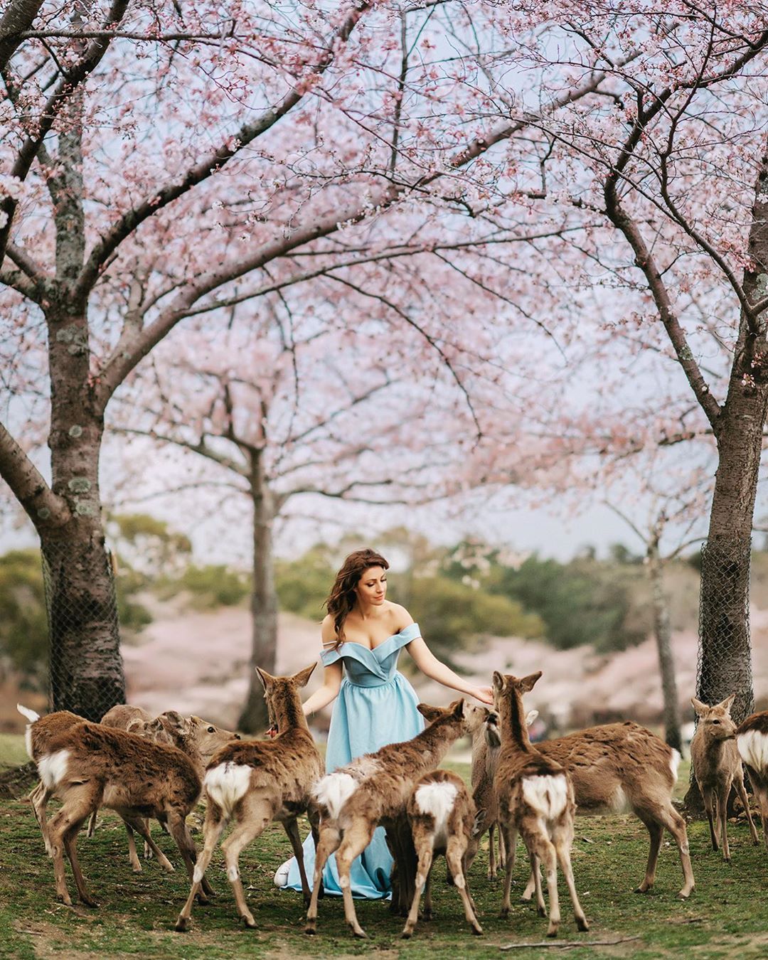 Девушки, цветы и животные на снимках Дарьи Булавиной фотография