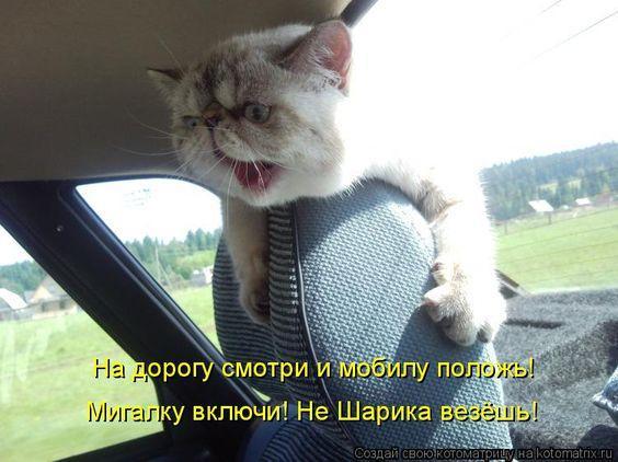 Юмористические картинки специально для вас