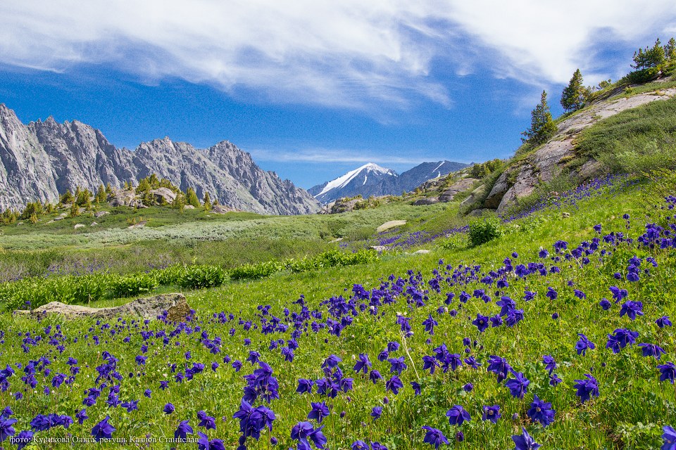 Пейзажи горного Алтая Индия,пейзажи,Путешествия,фото