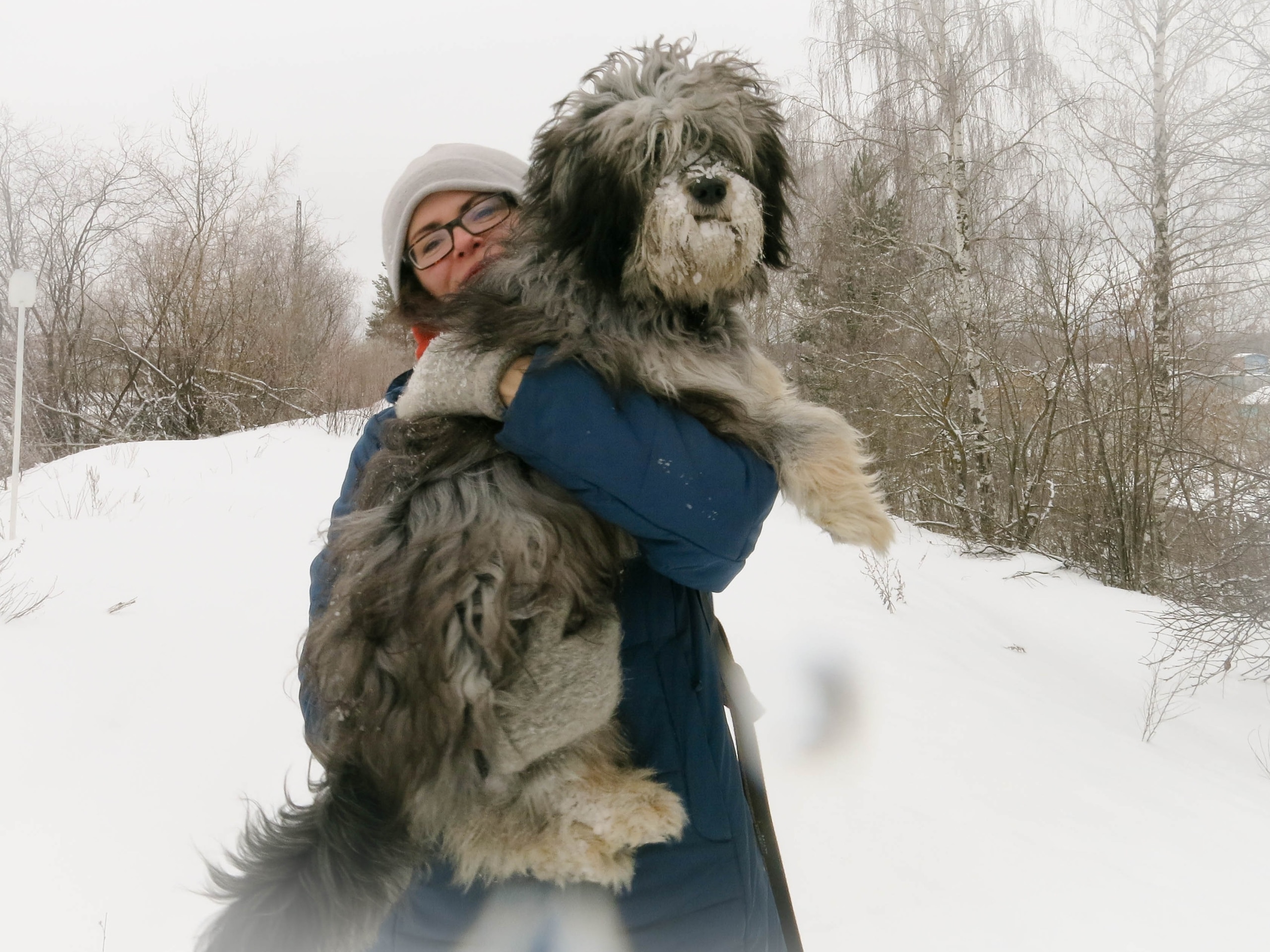 собака на руках