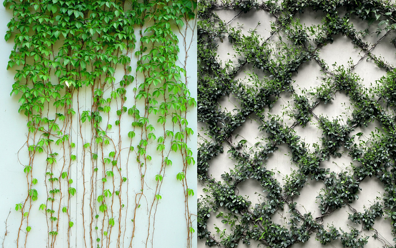 Наше лето: 4 идеи декорирования дачной террасы идеи для дома,Интерьер и дизайн
