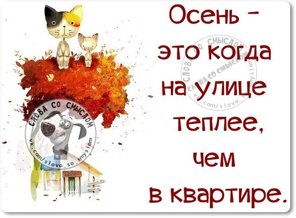 Фразочки в картинках с позитивом )) 