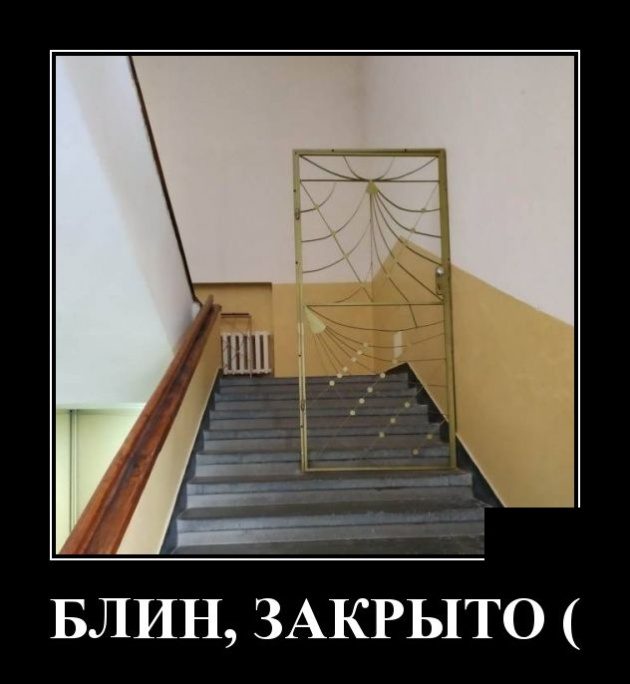 Прикольные картинки в черной рамке 