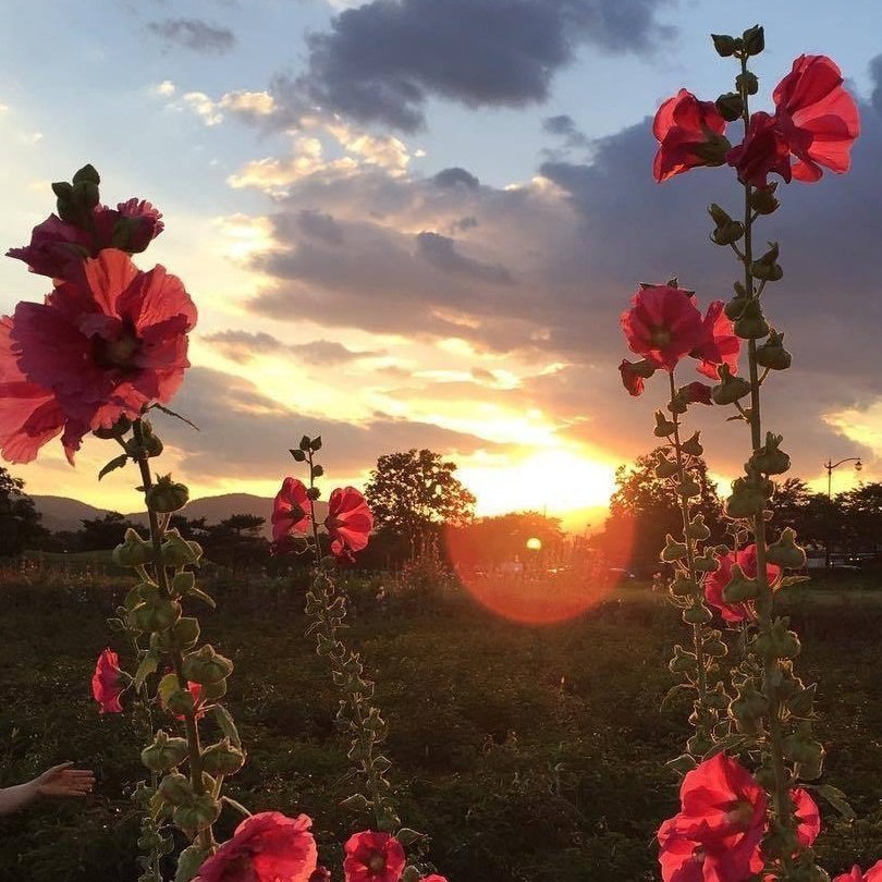 Красивые и завораживающие фотографии с картинками из сети красивые фотографии,прикольные картинки,шикарные фотографии