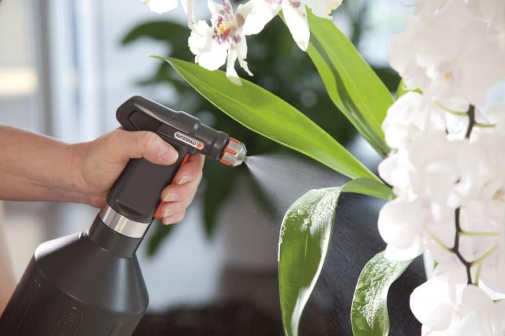 Аспирин и еще 6 способов заставить комнатные растения расти как на дрожжах Аспирин и еще 6 способов заставить комнатные растения расти как на дрожжах комнатные растения,полезные советы