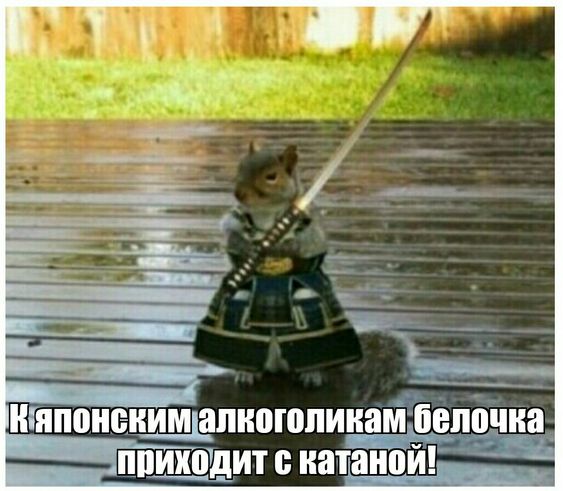 Юмористические картинки специально для вас Юмористические картинки специально для вас