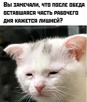 Господь не может уследить за всеми, поэтому и создал мою соседку бабу Валю! только, унитаза, после, Рютте, мороз, который, людям, самом, мужчинам, нашей, изменить, букет, наличие, золотого, января, Эпштейна, теперь, хороший, почемуто, обманываютЧтобы