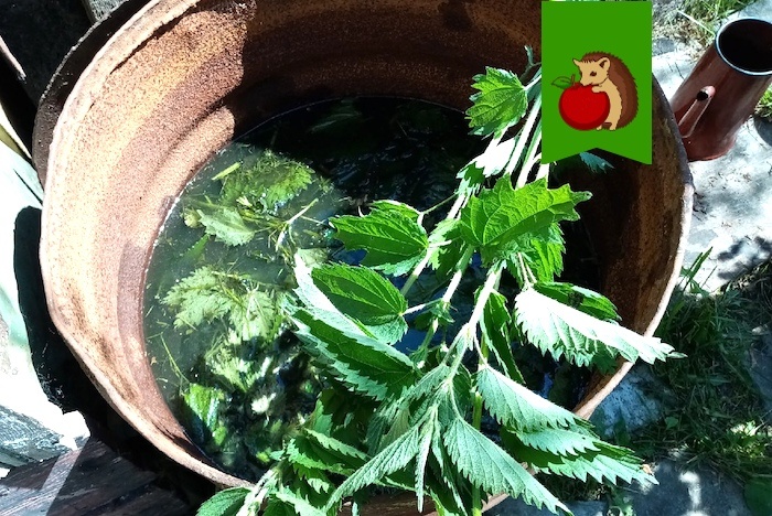 -4