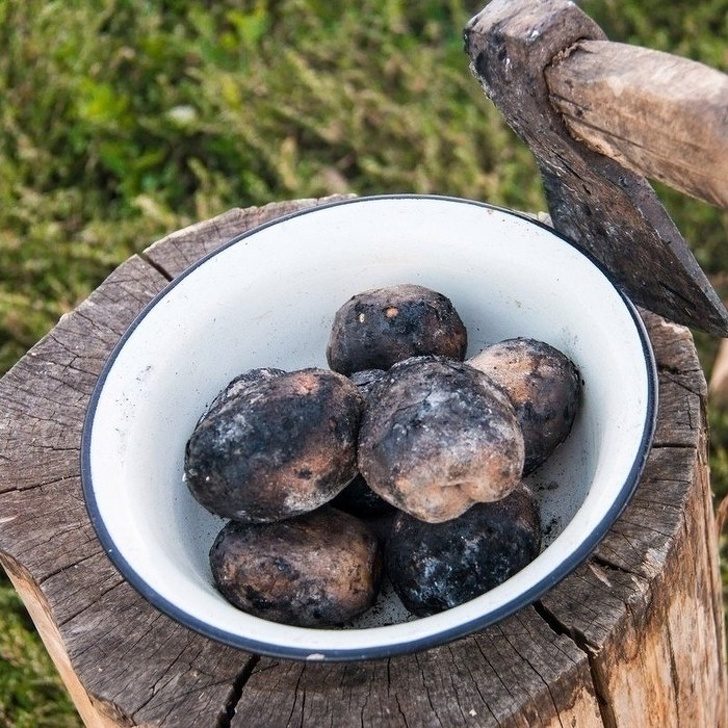 Осторожно! Аромат каждой из этих 20 фотографий вызывает очень сильную ностальгию Осторожно! Аромат каждой из этих 20 фотографий вызывает очень сильную ностальгию жизненное