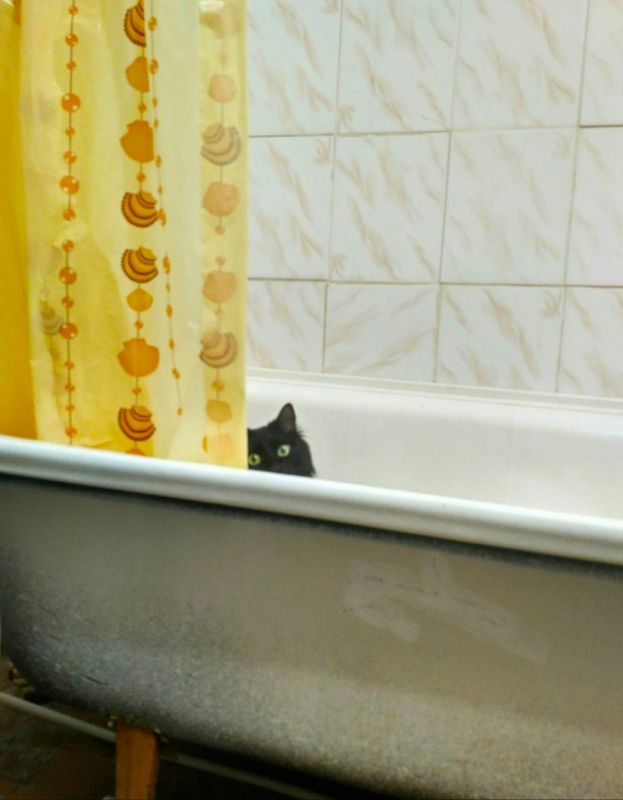 Фотоподборка вторника Фотоподборка вторника