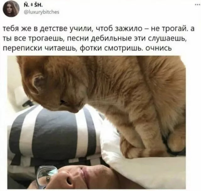 Лучшие шутки и мемы из Сети