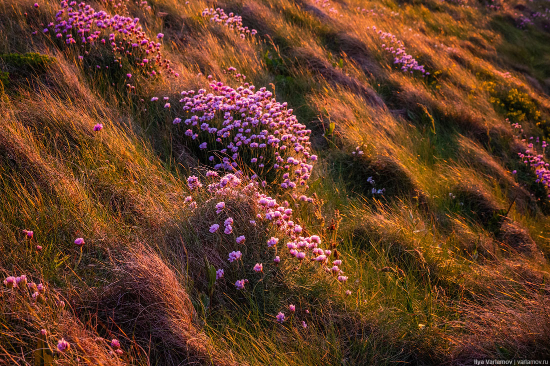 Джерси: британский рай для пенсионеров заграница,страны