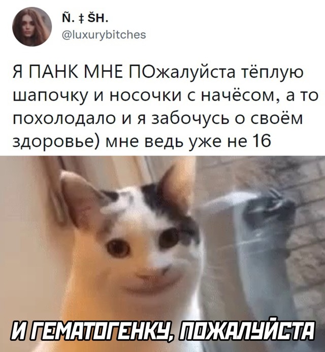 Подборка прикольных картинок  приколы,смешные картинки,юмор